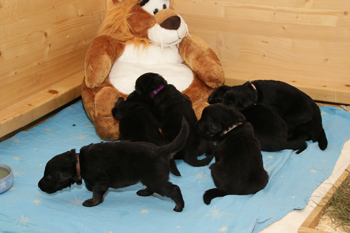 %_tempFileNameIMG_1181%