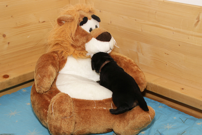 %_tempFileNameIMG_1210%