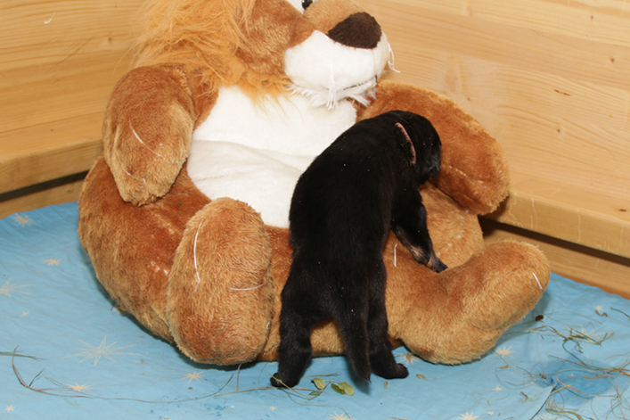 %_tempFileNameIMG_1215%