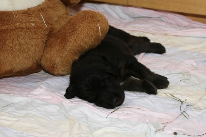 %_tempFileNameIMG_1226%