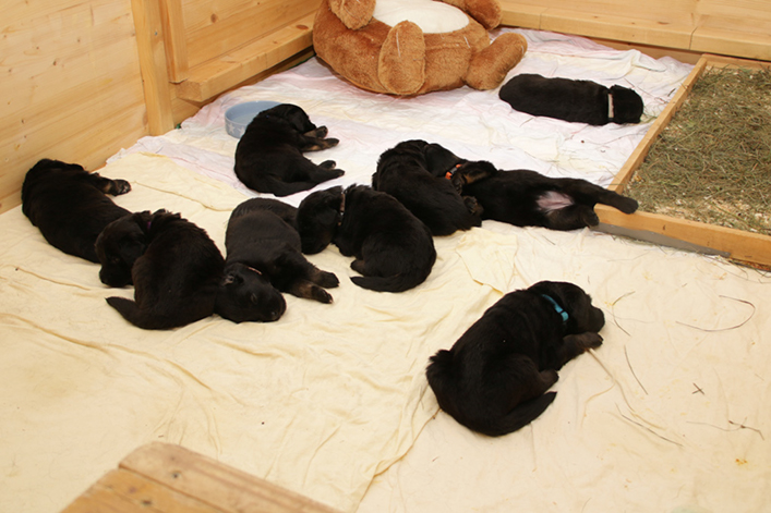 %_tempFileNameIMG_1232%