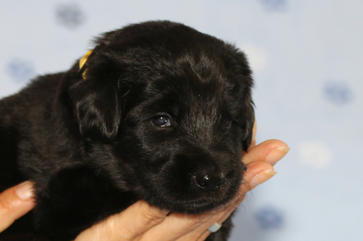 %_tempFileNameIMG_1297%