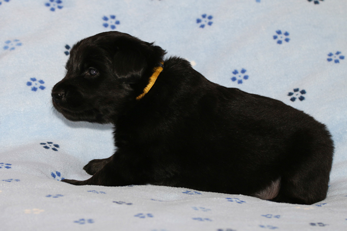 %_tempFileNameIMG_1302%