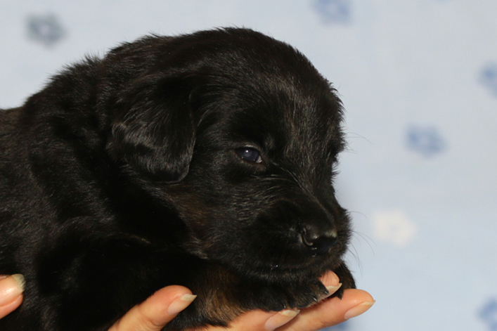 %_tempFileNameIMG_1312%