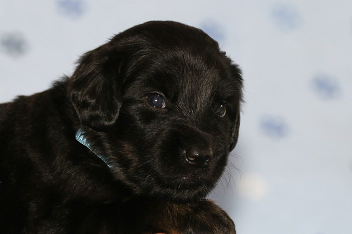 %_tempFileNameIMG_1329%