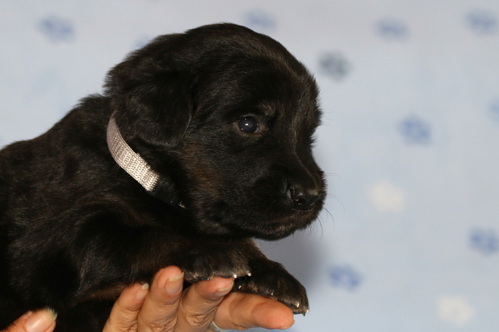 %_tempFileNameIMG_1345%