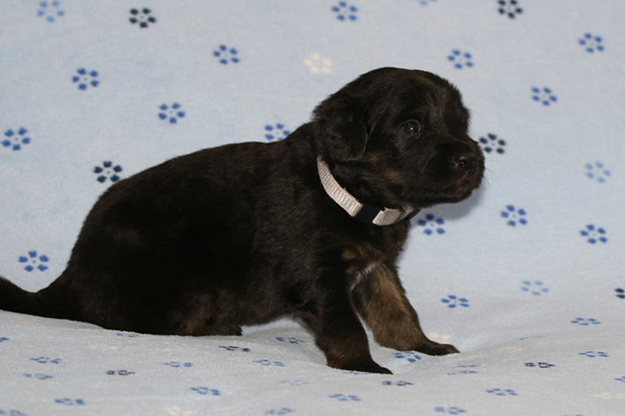 %_tempFileNameIMG_1347%