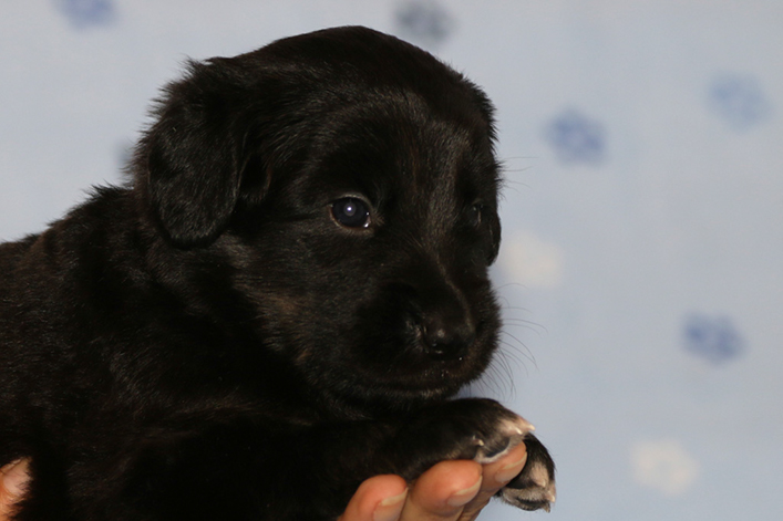 %_tempFileNameIMG_1365%