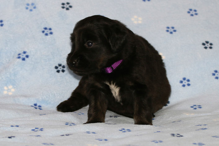 %_tempFileNameIMG_1379%