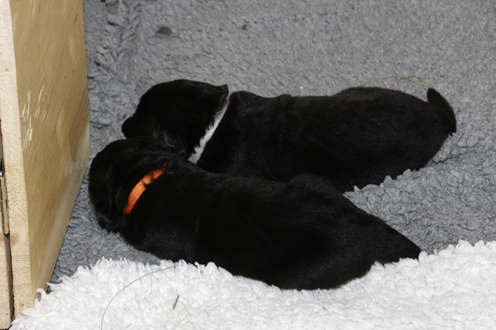 %_tempFileNameIMG_1405%