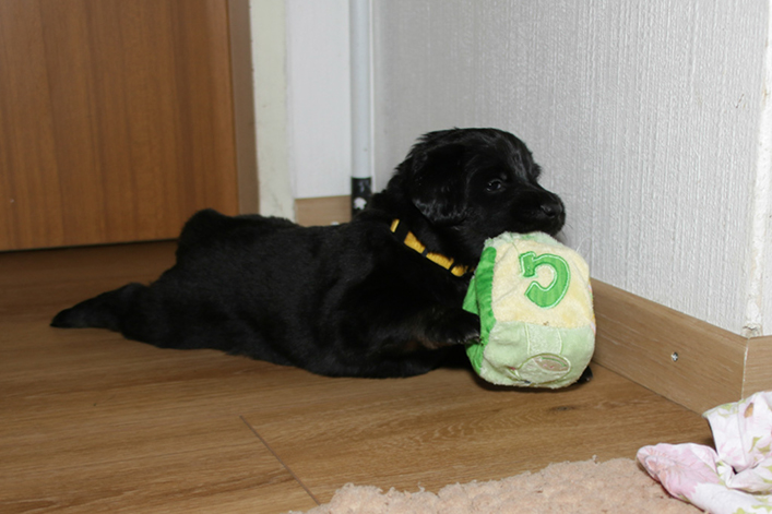 %_tempFileNameIMG_1531%