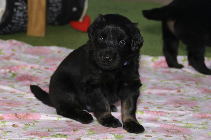 %_tempFileNameIMG_1532%