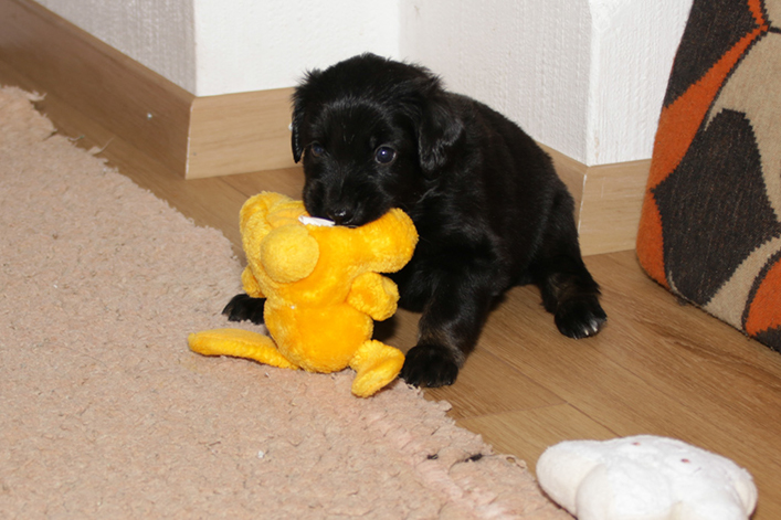 %_tempFileNameIMG_1549%