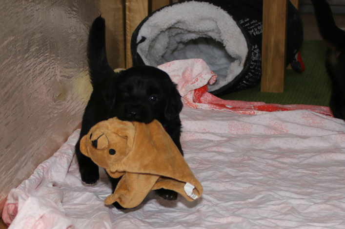 %_tempFileNameIMG_1551%