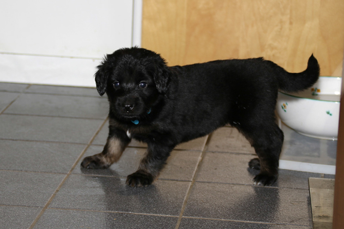 %_tempFileNameIMG_1574%