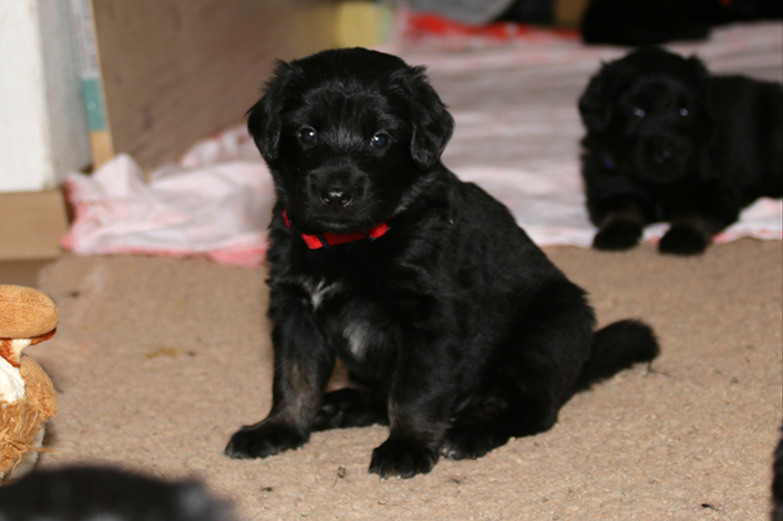 %_tempFileNameIMG_1583%