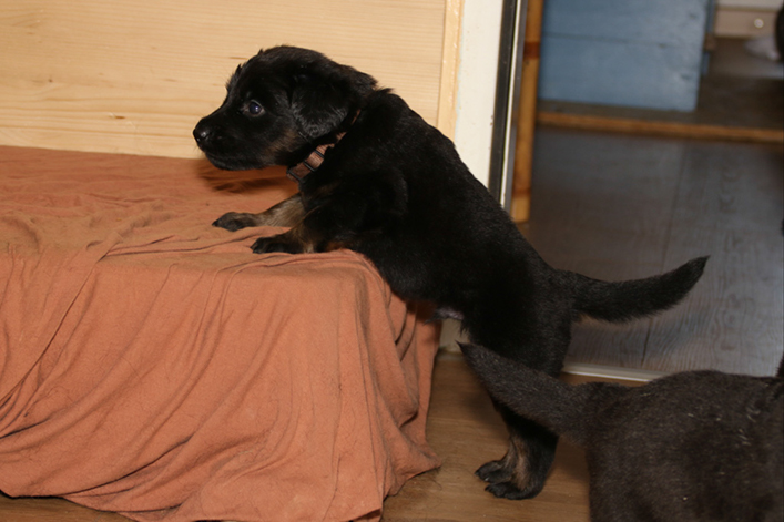 %_tempFileNameIMG_1601%