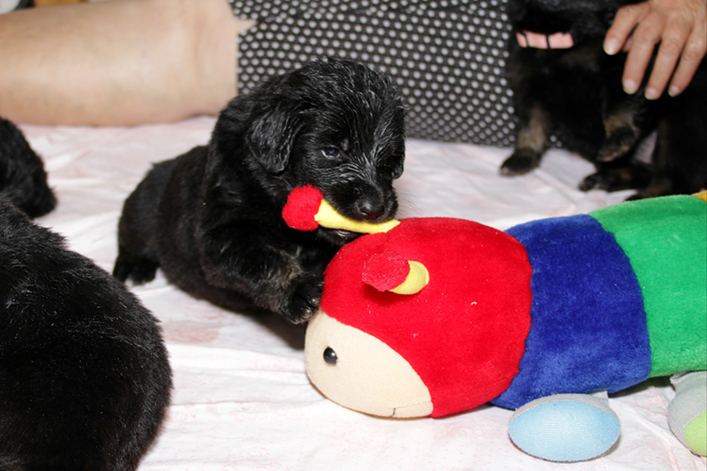 %_tempFileNameIMG_1616%