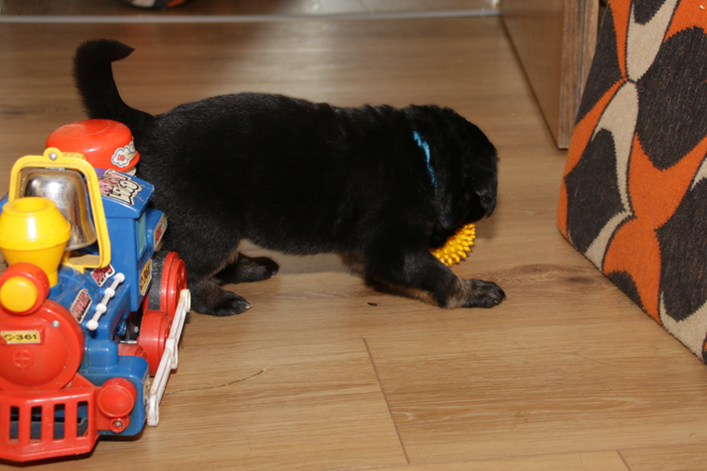 %_tempFileNameIMG_1635%