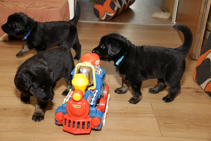 %_tempFileNameIMG_1638%