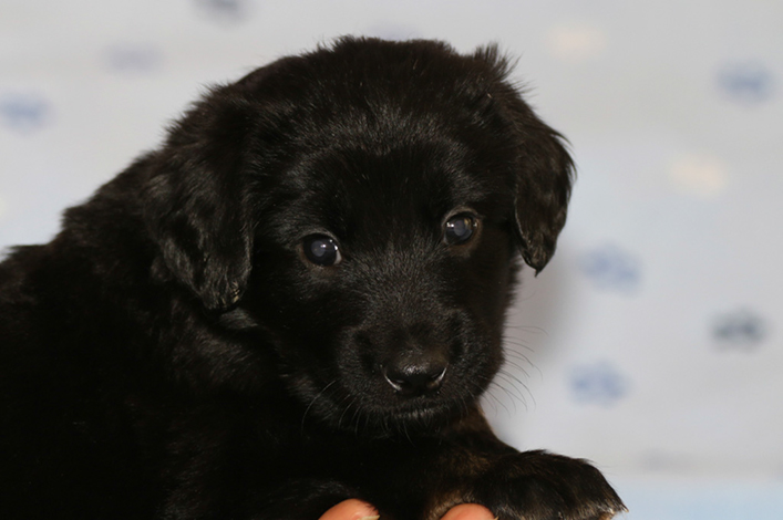 %_tempFileNameIMG_1645%