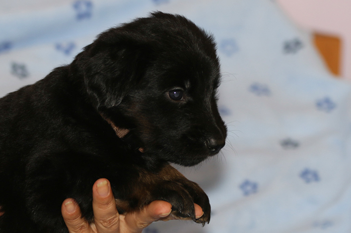 %_tempFileNameIMG_1656%