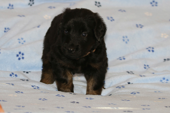 %_tempFileNameIMG_1663%