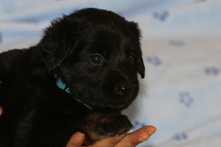 %_tempFileNameIMG_1666%