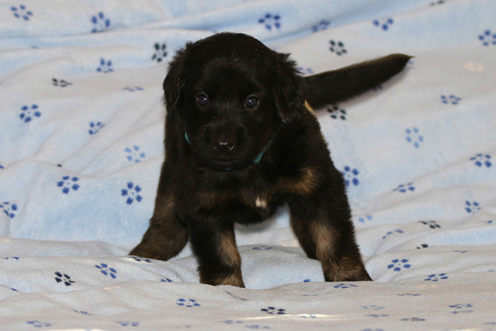 %_tempFileNameIMG_1672%