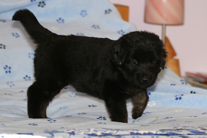 %_tempFileNameIMG_1698%