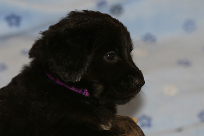 %_tempFileNameIMG_1702%