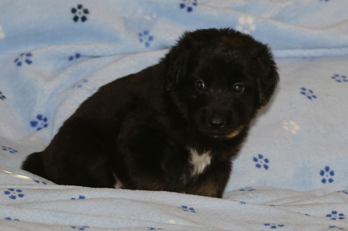 %_tempFileNameIMG_1713%