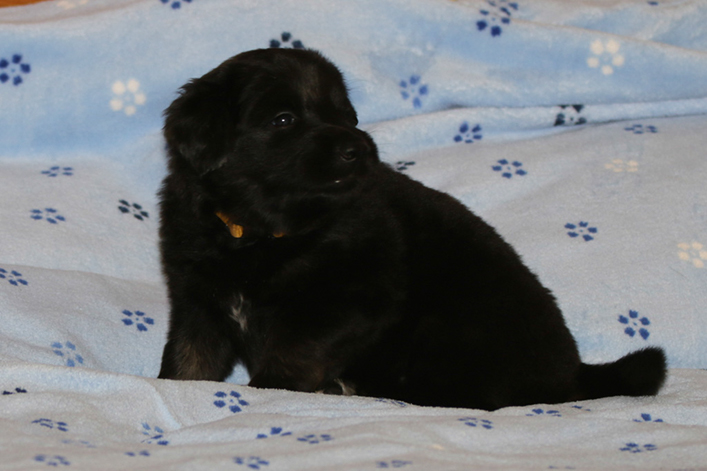 %_tempFileNameIMG_1734%