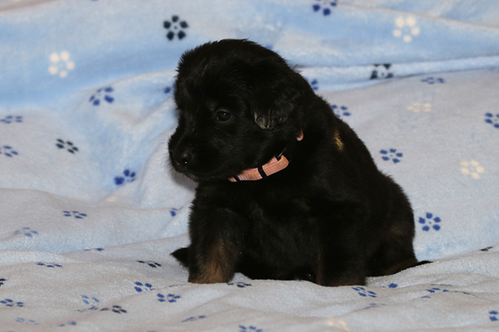 %_tempFileNameIMG_1749%