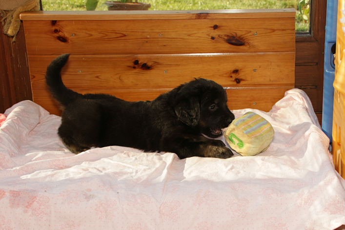 %_tempFileNameIMG_1894%