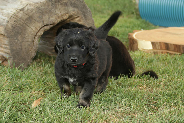 %_tempFileNameIMG_1908%