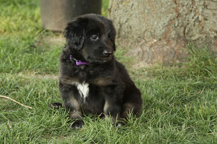 %_tempFileNameIMG_1909%