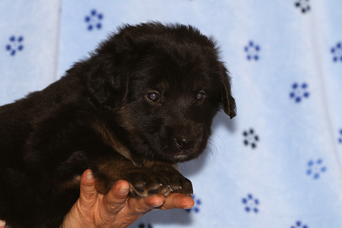 %_tempFileNameIMG_1977%