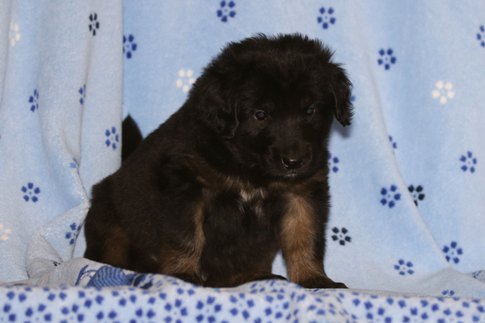 %_tempFileNameIMG_1989%