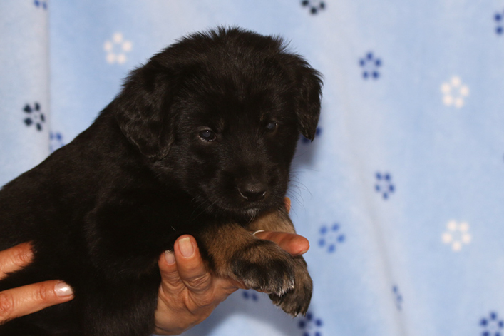 %_tempFileNameIMG_2009%