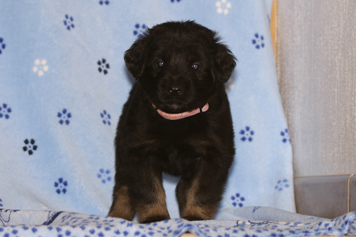 %_tempFileNameIMG_2019%