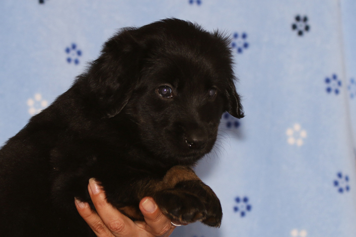 %_tempFileNameIMG_2023%