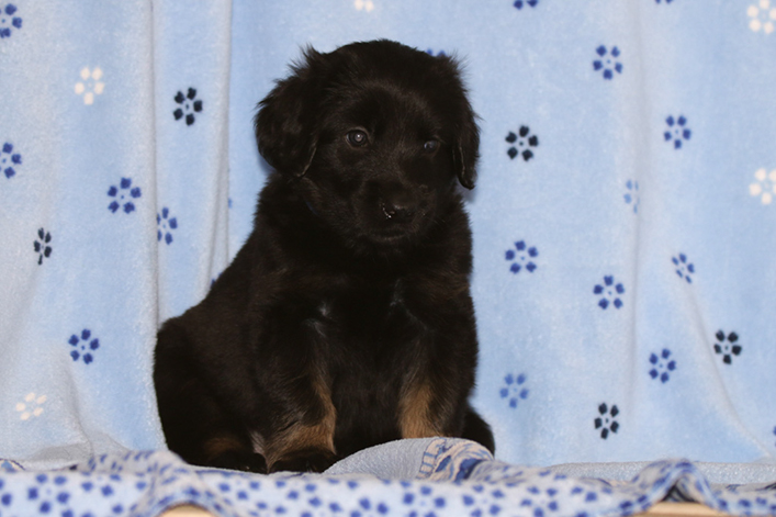 %_tempFileNameIMG_2034%