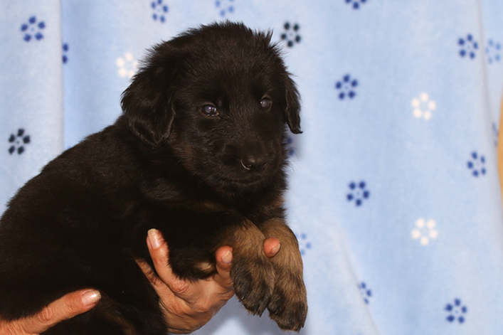 %_tempFileNameIMG_2054%