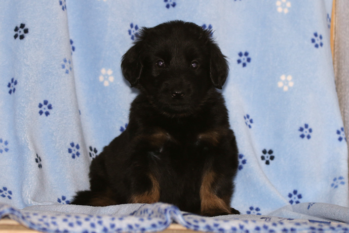 %_tempFileNameIMG_2059%