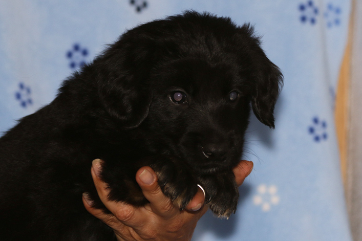 %_tempFileNameIMG_2081%