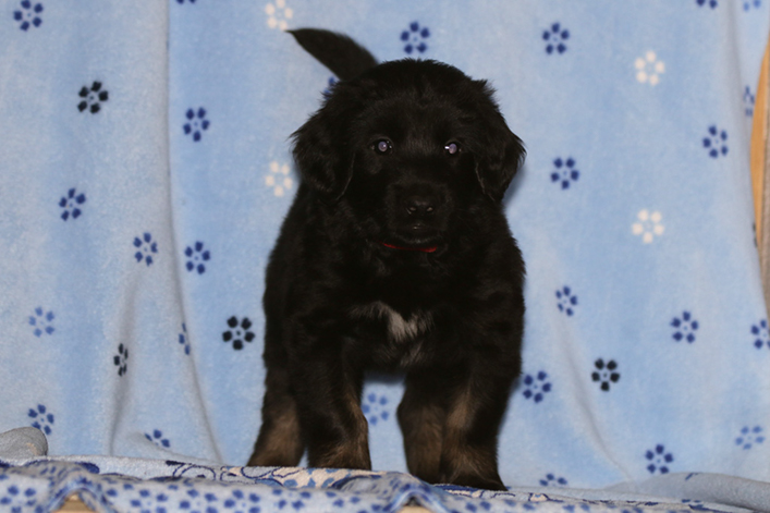 %_tempFileNameIMG_2090%