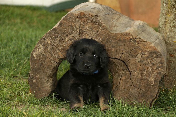 %_tempFileNameIMG_2111%