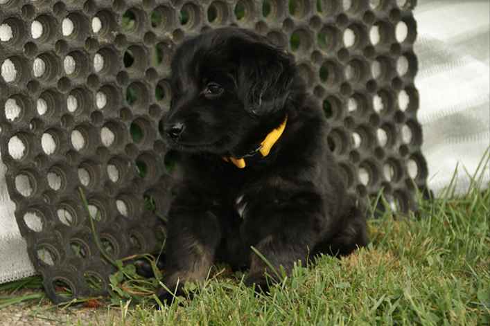 %_tempFileNameIMG_2113%