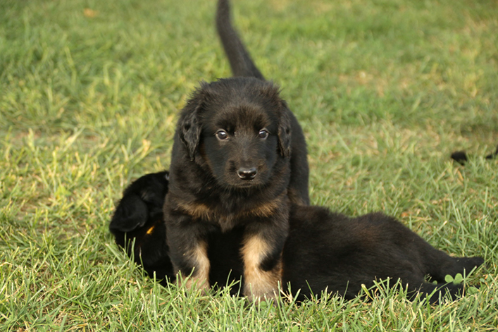 %_tempFileNameIMG_2114%